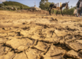 30° en Algérie: La sècheresse s&rsquo;annonce