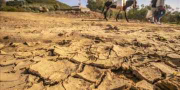 30° en Algérie: La sècheresse s&rsquo;annonce