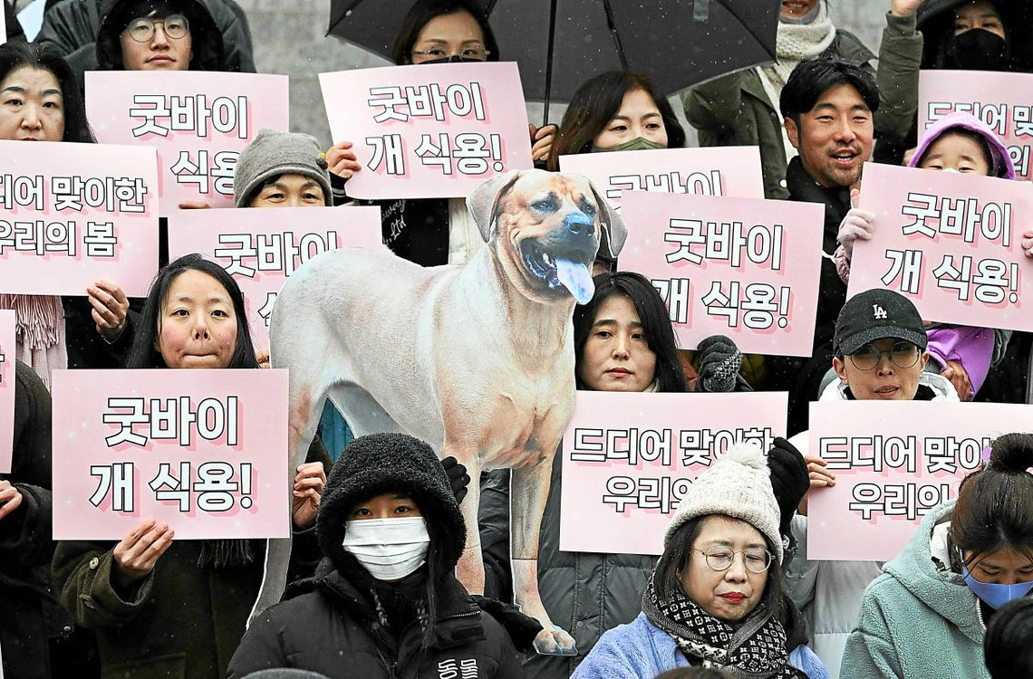 La Corée du Sud vote l’interdiction du commerce de viande de chien