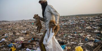 3,8 milliards de tonnes d’ici 2050: Le volume de déchets ne cesse de croître, alerte l’ONU
