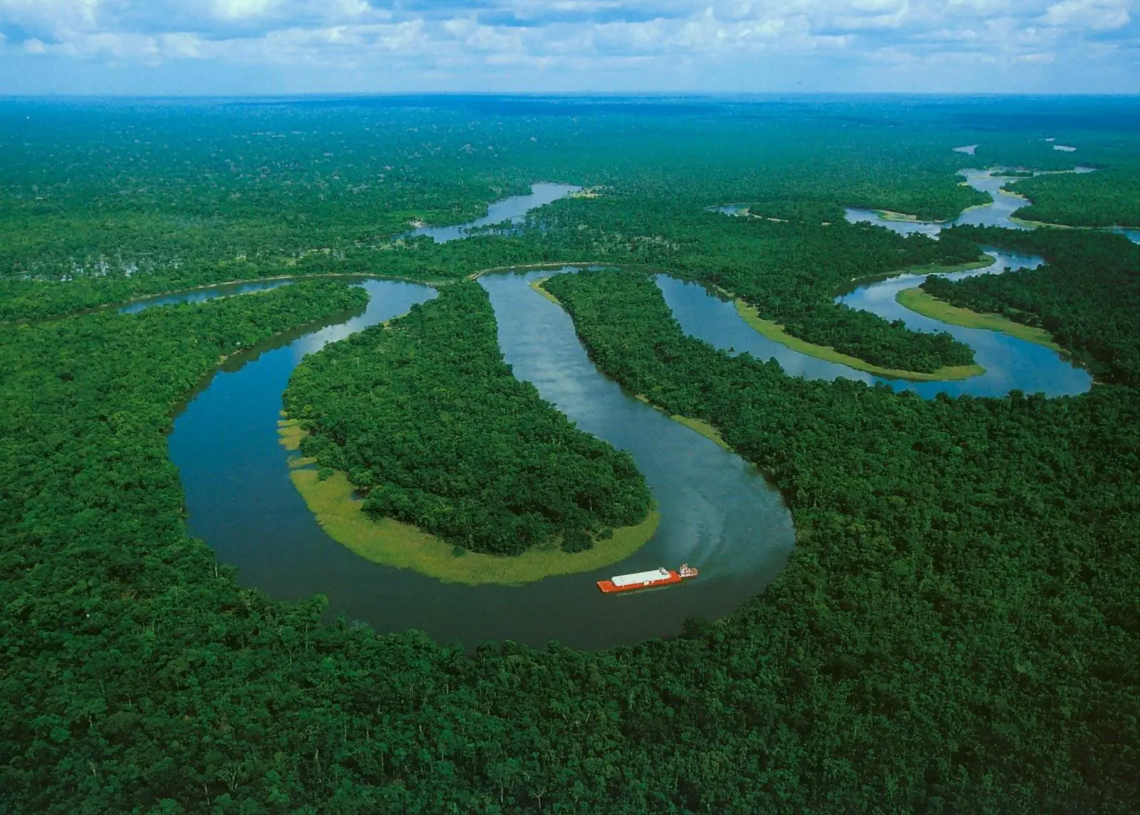 Selon une étude, la forêt amazonienne pourrait atteindre son « point de rupture » en 2050