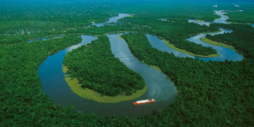 Selon une étude, la forêt amazonienne pourrait atteindre son « point de rupture » en 2050