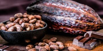 La tonne de cacao coûte désormais plus chère qu’une tonne de cuivre