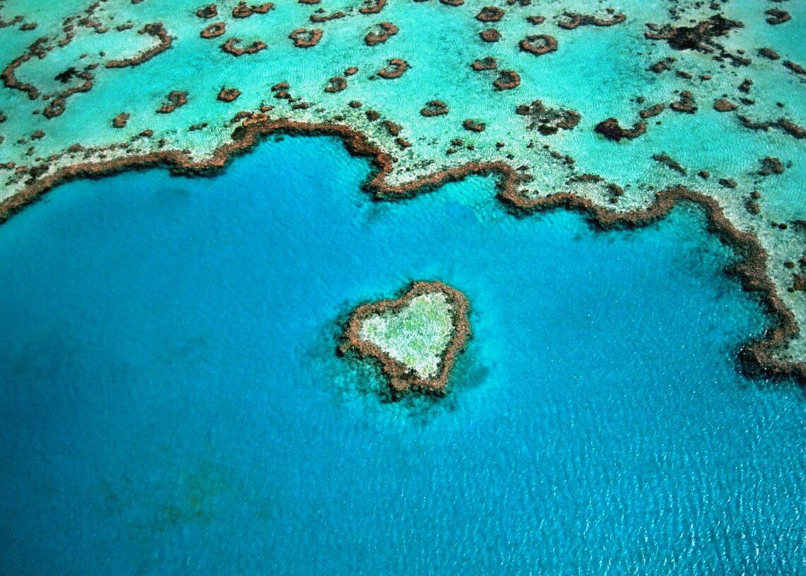 Australie: La grande barrière de corail subit un «blanchissement massif»