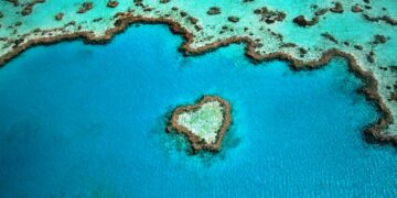 Australie: La grande barrière de corail subit un «blanchissement massif»