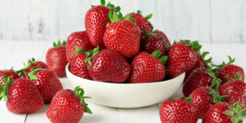 Béja: La récolte des fraises à Ouechtata estimée à plus de 1100 tonnes