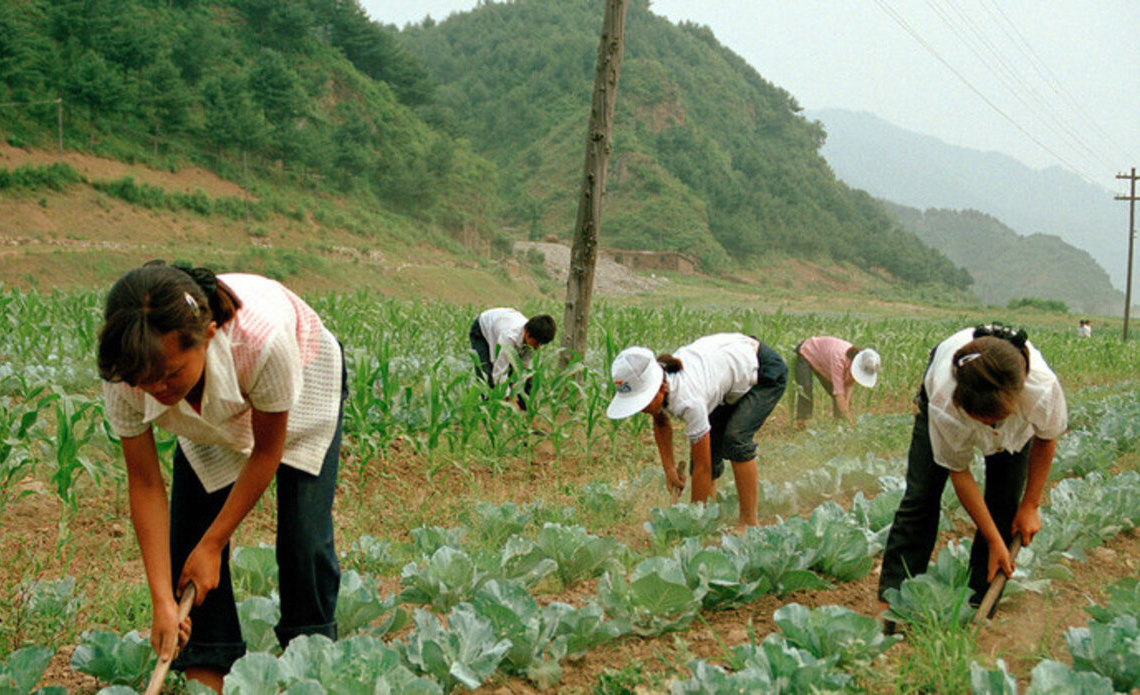 Le travail forcé rapporte 236 milliards de dollars par an