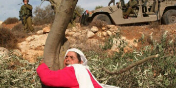 Israël annonce la saisie de 800 hectares de terres en Cisjordanie occupée