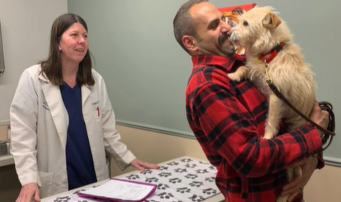 Mishka, une chienne disparue depuis 9 mois, retrouvée à 3 770 km de son domicile