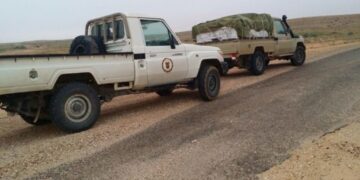 Tataouine: Saisie de cigarettes de contrebande d’une valeur de 209 000 dinars