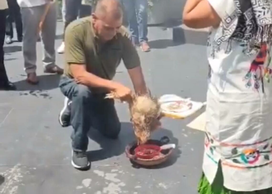 Scandale au Mexique: Une poule sacrifiée au dieu de la pluie en plein Sénat