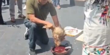 Scandale au Mexique: Une poule sacrifiée au dieu de la pluie en plein Sénat