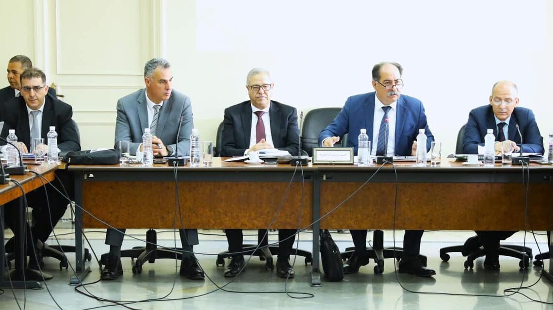 ARP: Ce qu’il faut retenir de l’audition de Kamel Feki sur l’immigration clandestine