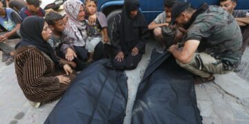 Gaza: 35 984 personnes tuées, 81 morts en 24 heures