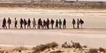 Libye: Une ONG  dénonce l&rsquo;entrée continue de migrants en provenance de Tunisie avec la complicité de Tripoli