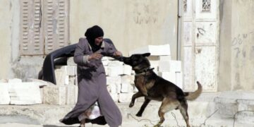 Al Jazeera révèle des images choquantes de l&rsquo;armée israélienne usant d&rsquo;un chien contre une dame âgée