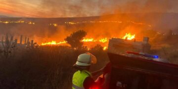Feux de forêt dans le sud du Liban après des tirs israéliens