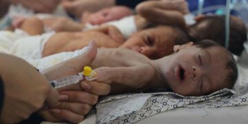 Neuf enfants sur dix dans une « pauvreté alimentaire sévère » dans la bande de Gaza, alerte l’Unicef