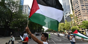 Plus de 20 experts indépendants de l&rsquo;ONU appellent à reconnaître l’Etat de Palestine