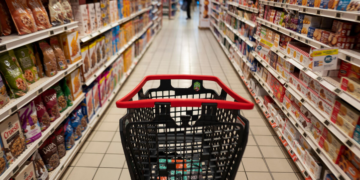 Alimentation, habillement, loisirs… L’indice des prix à la consommation  en hausse de 0,5% en mai 2024