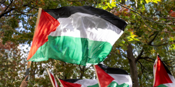 Les Palestiniens obtiennent plus de droits à l’OMS