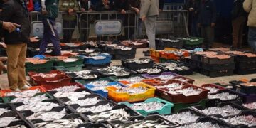 Au marché de Bir El Kasaa, les prix s’enflamment