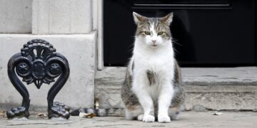 Royaume-Uni: Larry, le chat du 10 Downing Street, donne ses instructions au nouveau Premier ministre Keir Starmer