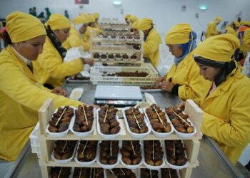 La Tunisie enregistre un excédent de 1834,7 MD pour la balance commerciale alimentaire à fin juin 2024