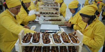 La Tunisie enregistre un excédent de 1834,7 MD pour la balance commerciale alimentaire à fin juin 2024