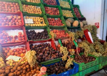 Les exportations de fruits en baisse de 22,1%