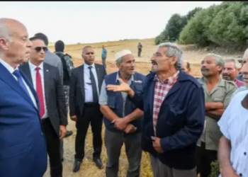 Kais Saied à Jendouba: Le président appelle à poursuivre le rationnement de l&rsquo;eau