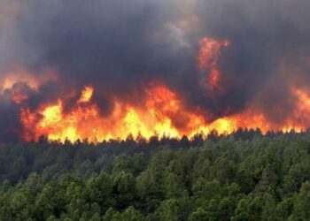 Jendouba: La protection civile éteint un incendie à Ghardimaou
