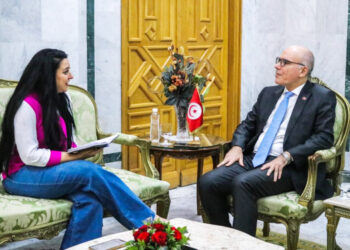 Migrants, Maghreb, partenariats… En bref, ce qu&rsquo;il faut retenir de l&rsquo;interview de Nabil Ammar à Assabah news