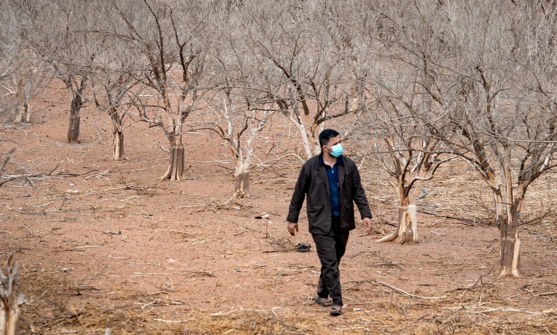 Au Maroc, la sécheresse fait des dégâts sur le marché du travail