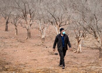 Au Maroc, la sécheresse fait des dégâts sur le marché du travail
