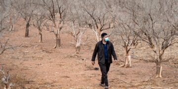 Au Maroc, la sécheresse fait des dégâts sur le marché du travail
