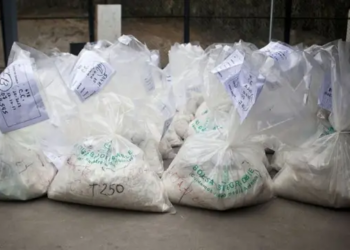 Démantèlement d&rsquo;une usine de métamphétamine en Afrique du Sud, saisie historique de 100 millions d&rsquo;euros de marchandise