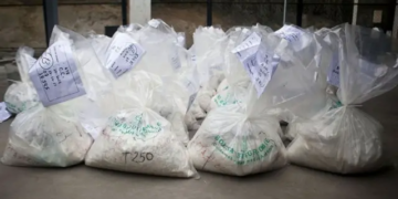 Démantèlement d&rsquo;une usine de métamphétamine en Afrique du Sud, saisie historique de 100 millions d&rsquo;euros de marchandise