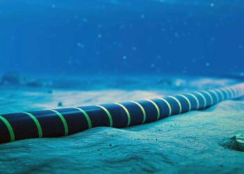 L&rsquo;Algérie s&rsquo;apprête à exporter de l&rsquo;électricité vers l&rsquo;Europe via un câble sous-marin