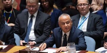 A l&rsquo;ONU, la Tunisie appelle à la fin du génocide en cours à Gaza et à stopper l&rsquo;occupation de la Palestine
