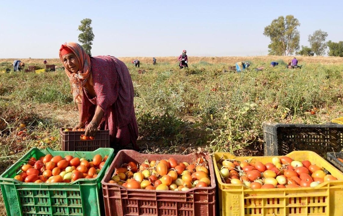 Est-ce qu’on fête la femme ou est-ce qu’ « on lui fait sa fête »?