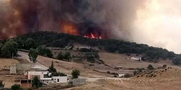 Protection civile : Incendie au mont Boussadia à Bargou