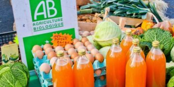 L’exportation des produits « bio » en hausse 14,4%