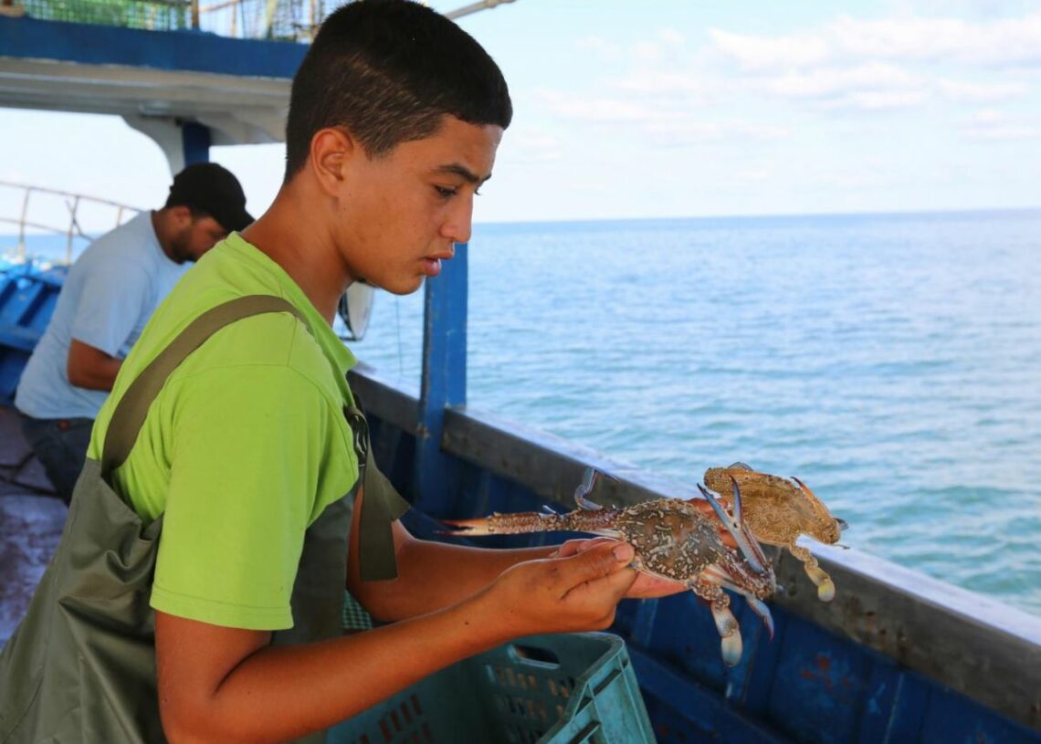 La Méditerranée égale ses records de températures de 2023: La biodiversité marine en danger