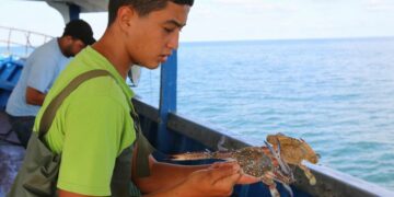 La Méditerranée égale ses records de températures de 2023: La biodiversité marine en danger