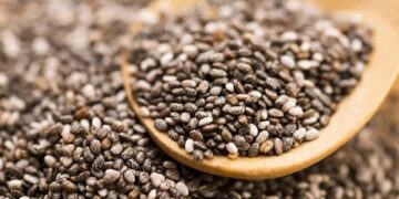 L’INSSPA veille au grain: Lancement d&rsquo;un programme de contrôle du Zgougou avant le mouled