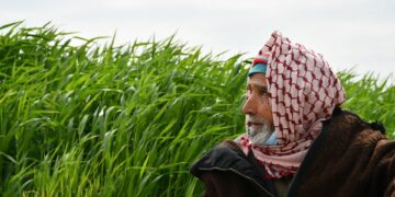 Agriculture écologique: L’Agence allemande de coopération internationale a formé près de 7000 agriculteurs