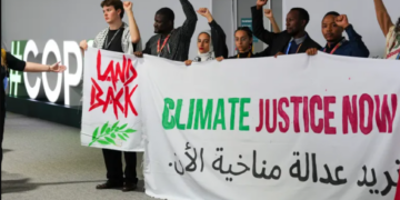 COP 29 et G20 : colère du Sud et financement 