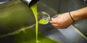 Huile d’olive: Les recettes des exportations en hausse de 50,8%