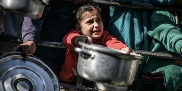 Gaza: 29 ONG accusent l&rsquo;armée israélienne de favoriser le pillage de l&rsquo;aide humanitaire